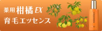 柑橘ＥＸ