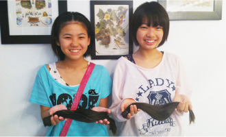 Japan Hair Donation & Charity