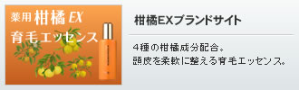 柑橘ＥＸ