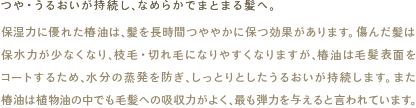 つや・うるおいが持続し、なめらかでまとまる髪へ。
保湿力に優れた椿油は、髪を長時間つややかに保つ効果があります。傷んだ髪は保水力が少なくなり、枝毛・切れ毛になりやすくなりますが、椿油は毛髪表面をコートするため、水分の蒸発を防ぎ、しっとりとしたうるおいが持続します。また椿油は植物油の中でも毛髪への吸収力がよく、最も弾力を与えると言われています。