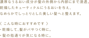 濃厚なうるおい成分が髪の外側から内部にまで浸透。乾燥したキューティクルにうるおいを与え、
なめらかでしっとりとした美しい髪へと整えます。
〈 こんな時におすすめです 〉
・乾燥して、髪がパサつく時に。

・髪の指通りが気になる時に。