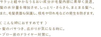 サラッと軽やかなうるおい成分が毛髪内部に素早く浸透。髪の水分量を増加させ、しっとり・さらさら、まとまる髪へ。また、毛髪表面も保護し、枝毛や切れ毛などの発生を防ぎます。
〈 こんな時におすすめです 〉
・髪のパサつき、広がりが気になる時に。
・ブロー前のドライヤー対策に。