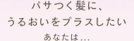パサつく髪に、うるおいをプラスしたあなたは…