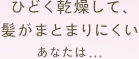 ひどく乾燥して、髪がまとまりにくいあなたは…